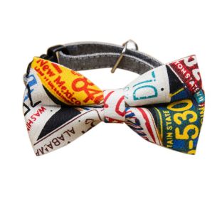 Striped Dog Collar With Neck Tie
