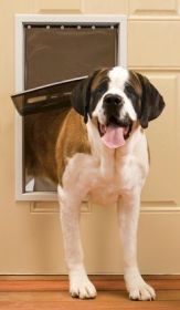 PetSafe Freedom Pet Door