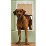PetSafe Plastic Dog Door