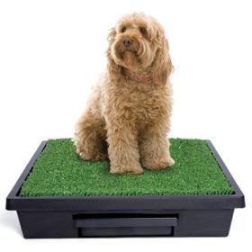 PetSafe Pet Loo Dog Potty Training System