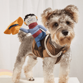 Cowboy Rider Dog Costume (Color: Mixed Color, size: XL)