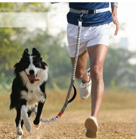 Hands Free Reflective Dog Leash (Specification (L * W): 2.5*160cm, colour: green-4211)